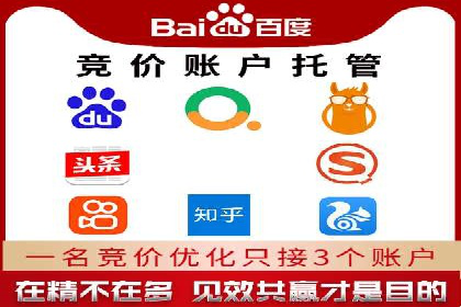 谷歌竞价广告与SEO结合的营销案例解析